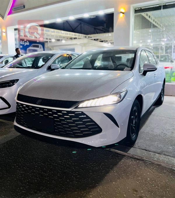 بي واي دي Qin Plus 2025 للبيع في العراق - النجف